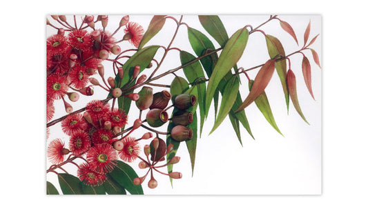 Red Gum